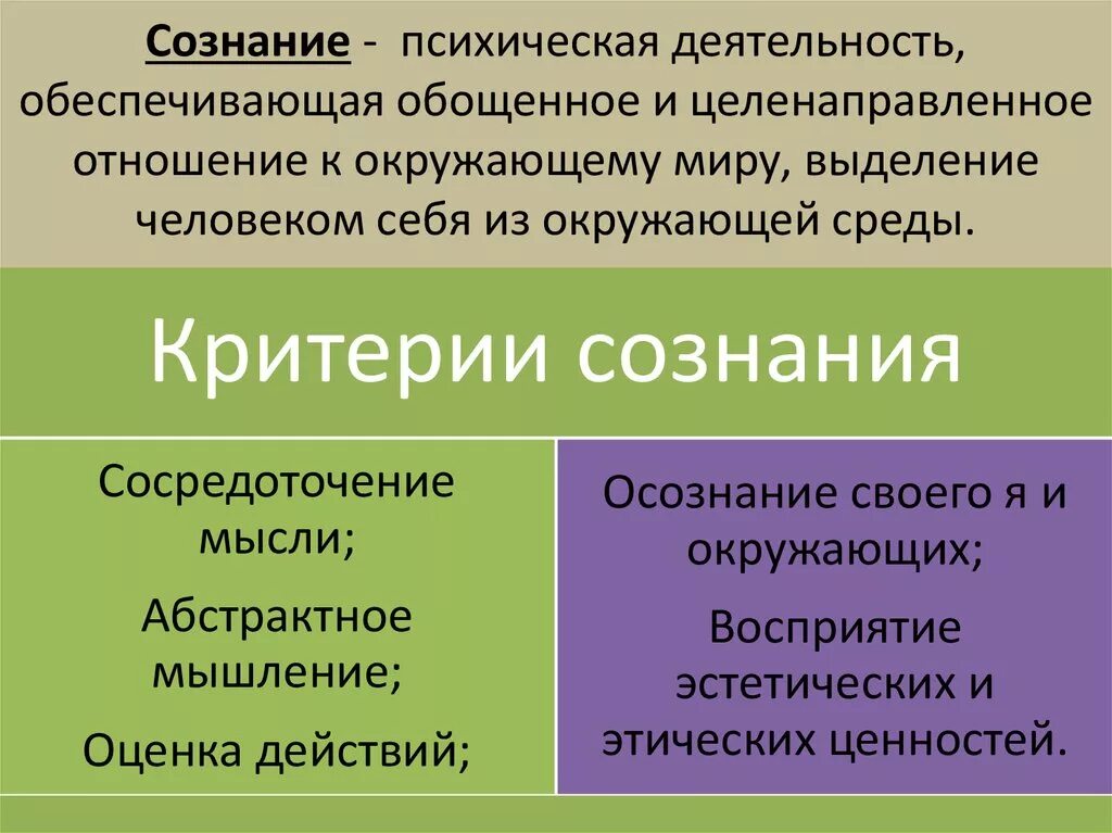 Высший процесс познавательной деятельности человека