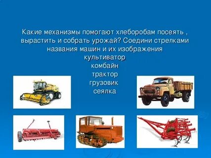 Какие механизмы помогают человеку в жизни