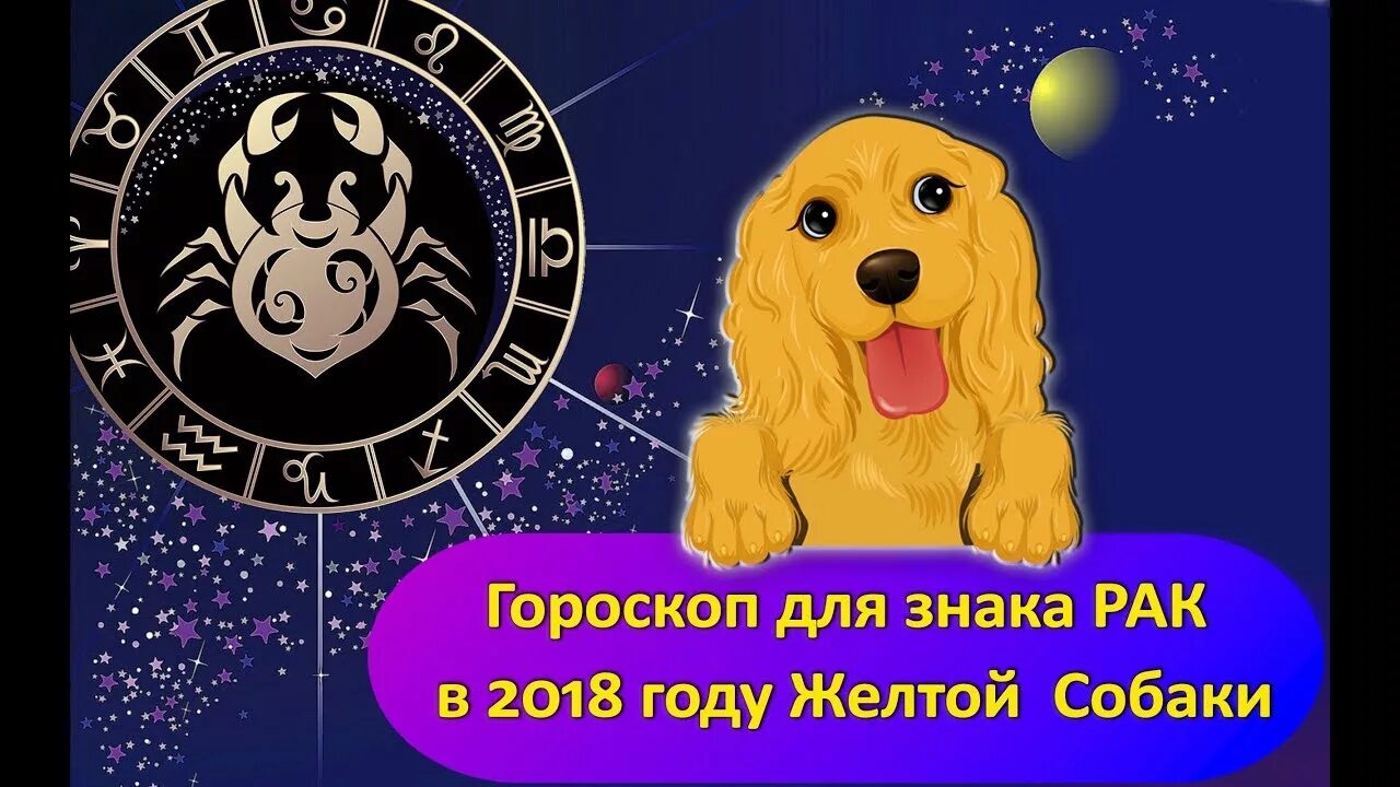 Видео гороскоп льва. Год собаки в астрологии. Собака гороскоп. Собака-Лев Зодиак. Лев собака знак зодиака.