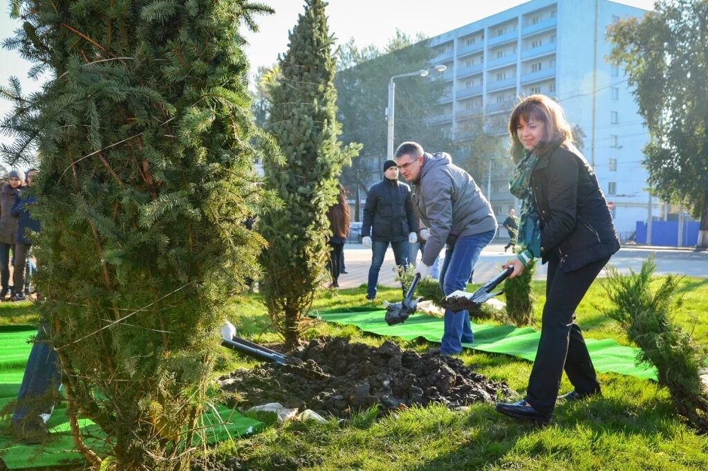 Акция озеленение. День древонасаждения ростов. озеленение ростов на дону. высадка зеленых насаждений. озеленение ростова.