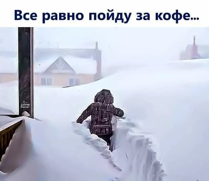 идти вперед. зима снег. девушка зимой в снегу. холодно зимой. куда идет холод.