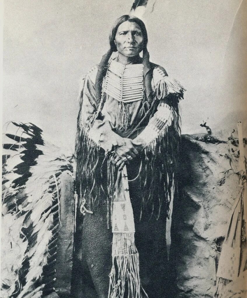 пауни индейцы дикого запада. бешеный конь вождь. индейцы сиу бешеный конь. статуи индейцев. индеец неистовый конь.