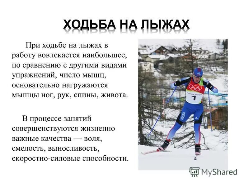 Мышцы работающие при катании на лыжах. Мышцы работающие при катании на лыжах. Мышцы задействованные при. Скандинавская ходьба мышцы. Мышцы задействованные при скандинавской ходьбе.