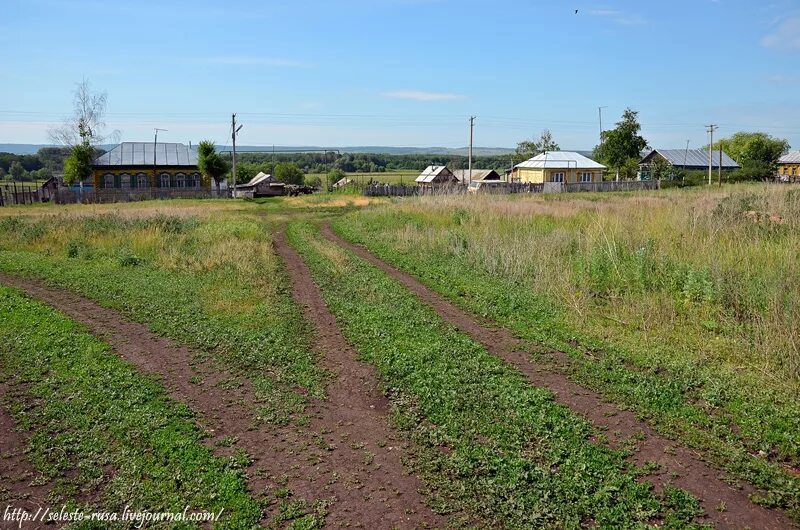 Село Павловка Сергиевский район. Павловка Самарская область Красноармейский район. Село Павловка Красноармейский район. Село Павловка Красноармейский район Самарская область.