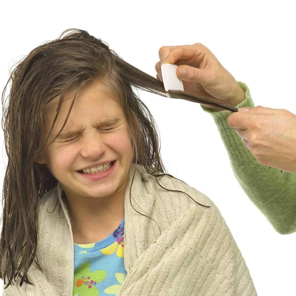 Не причесанный ребенок. Ребенок расчесывает волосы. Ребенок не дает расчесаться. Грязные волосы у мальчиков.