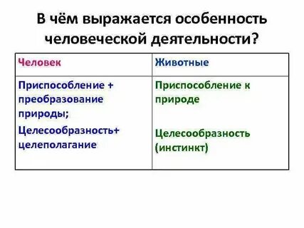 В чем состоят особенности связи