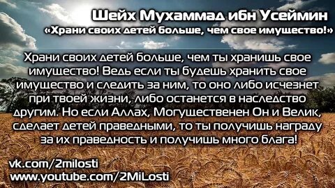 Ибн усеймин