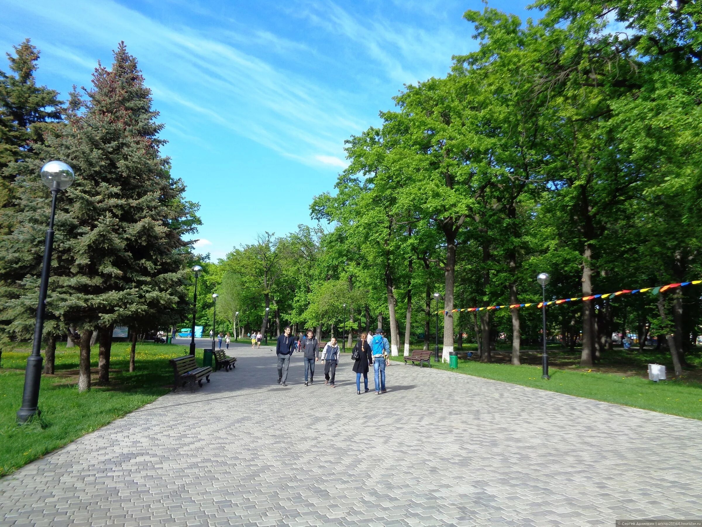 Сайт загородного парка. Парк Гагарина Самара. Гагаринский парк Самара. Сквер Гагарина Самара. Г Самара загородный парк.