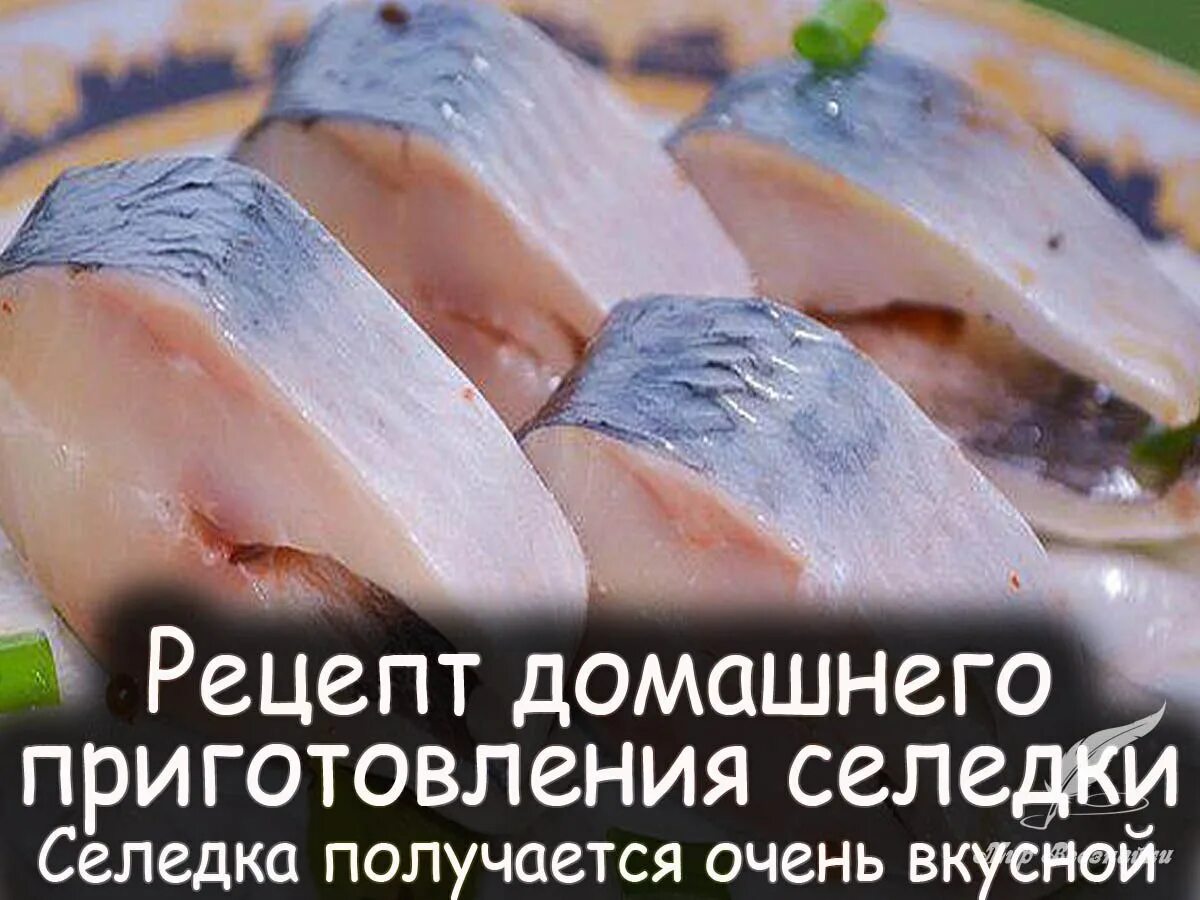 Вкусный посол селедки в домашних. Малосольная селедка. Селёдка малосольная в домашних. Соленая селедка в рассоле. Рассол для селедки малосольной.