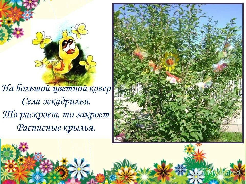 наша клумба в детском саду. объявление о субботнике в детском саду. стихотворение для детей. презентация участок в детском саду. стих про участок детского сада.