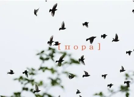 Добрые приметы слушать