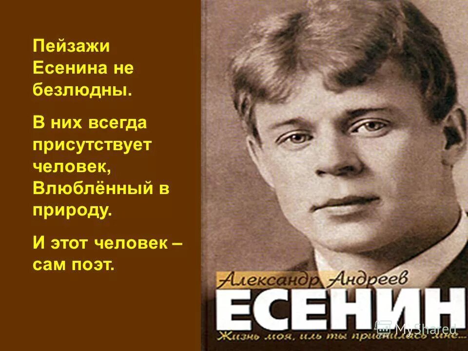 сергей есенин 1916. высказывания поэтов. цитаты есенина о родине. стихи есенина о родине. есенин тема родины.