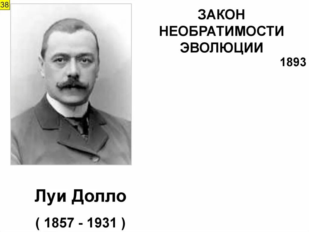 Закон необратимости эволюции примеры Общие закономерности биологической эволюции: найдено 83 картинок