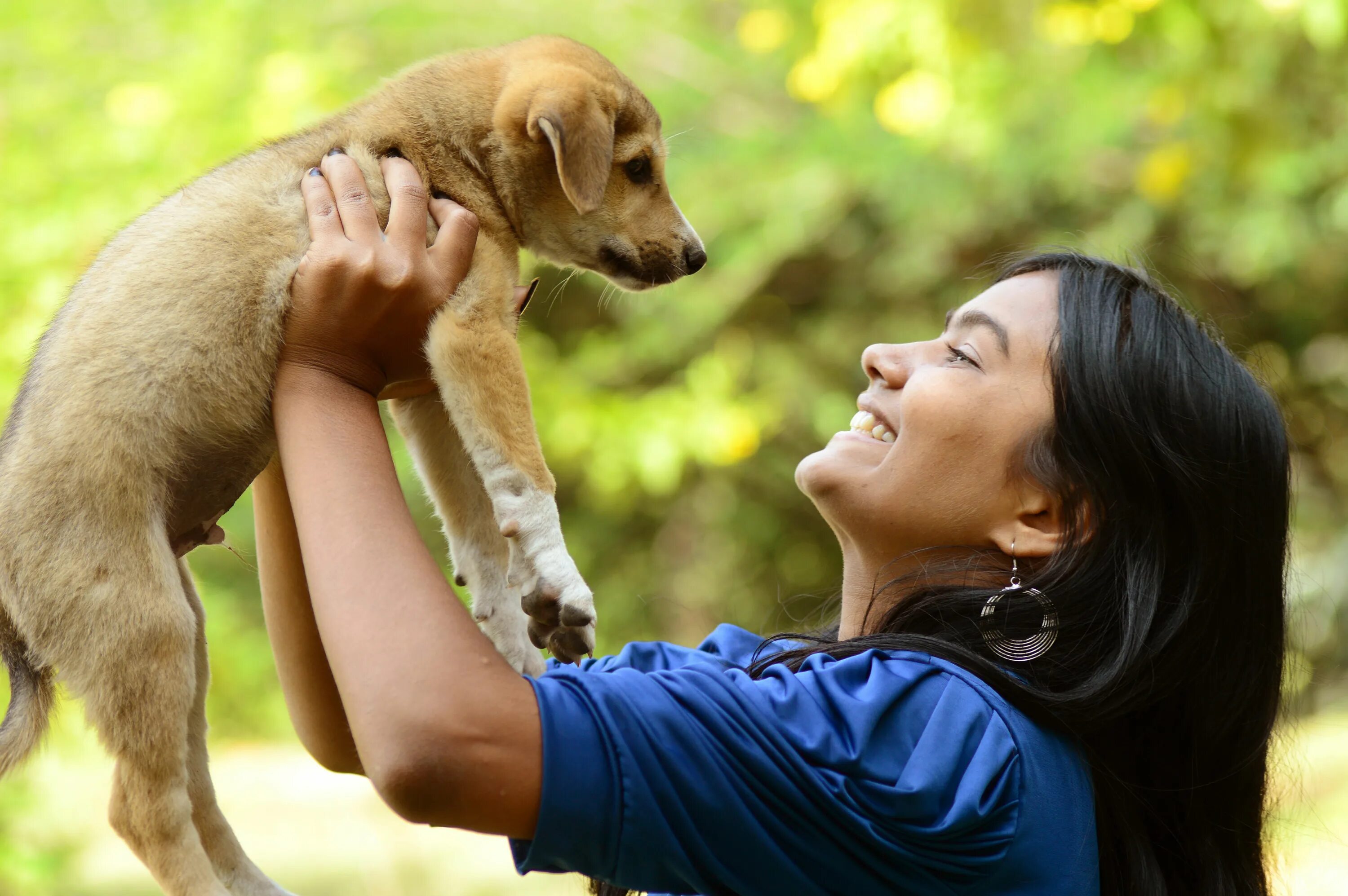 My pet dog has a. Домашние животные и человек. Человек и домашнее животное. Разговор с животными. Женщина с собакой.