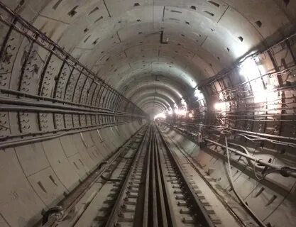 Ладожская 2024