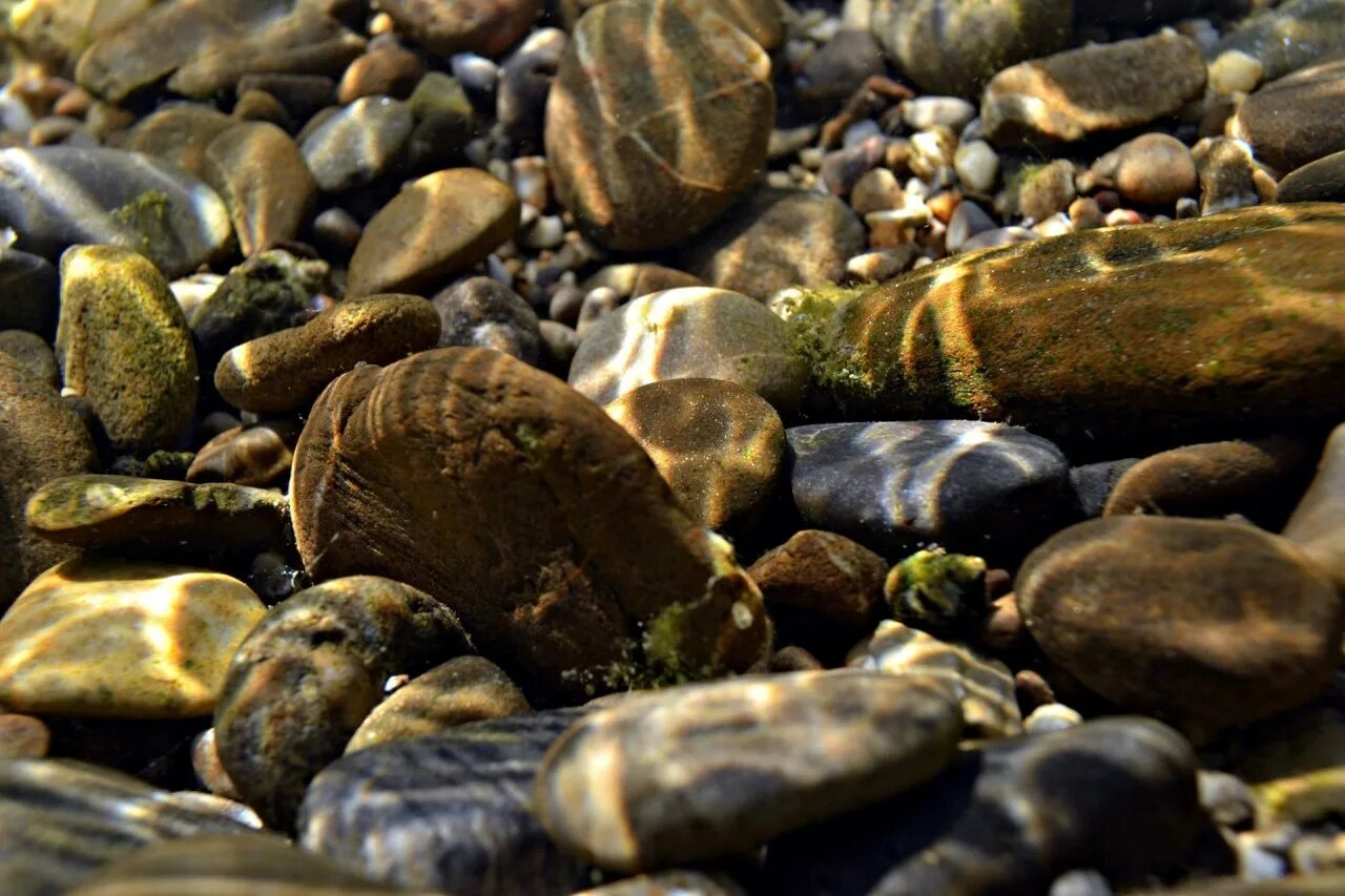 Енисейская Речная галька. Речные камни. Морские камни и вода. Красивые камни в воде. Долями подводные камни