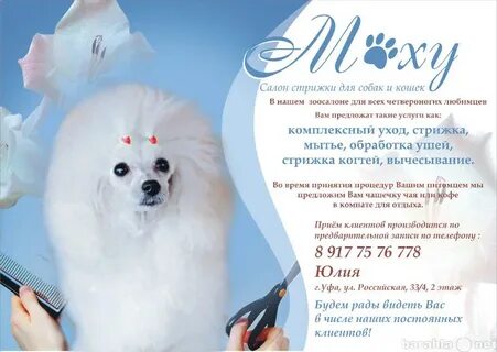 Авито стрижка собак брянск