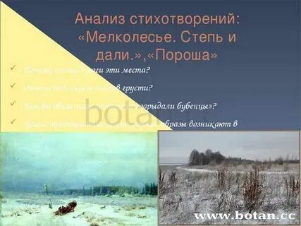 Стихотворение есенина степи дали