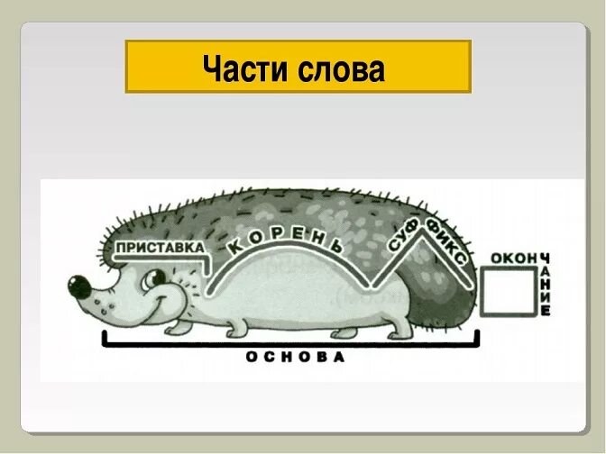 Части слова держаться. Части слова. Части слова картинки. Картинка значимые части слова. Части слова еж.