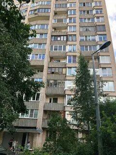 Кустодиева 24