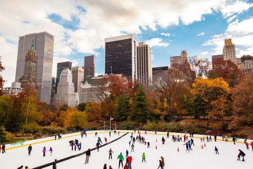 Central park 22. Центральный парк Нью-Йорк. Централ парк Нью-Йорк площадь. Нью Йорк Центрум парк.