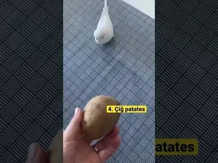 Uz yasex