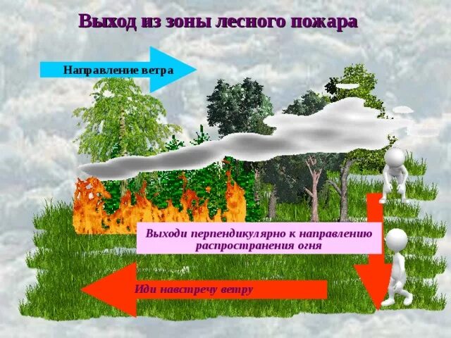 Выход из зоны лесного пожара. Двигаться перпендикулярно направлению ветра при пожаре. Как выходить из зоны лесного пожара. Зона распространения пожара.