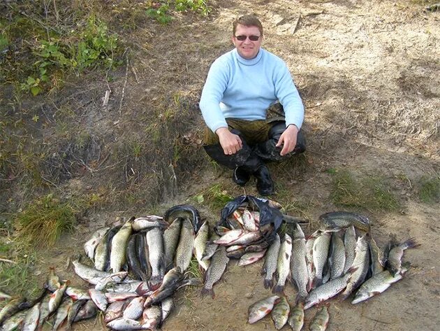 рыбалка на северной двине. архангельский клев. река вага архангельской области рыбалка. рыбалка на щуку летом. хариус в архангельской области.
