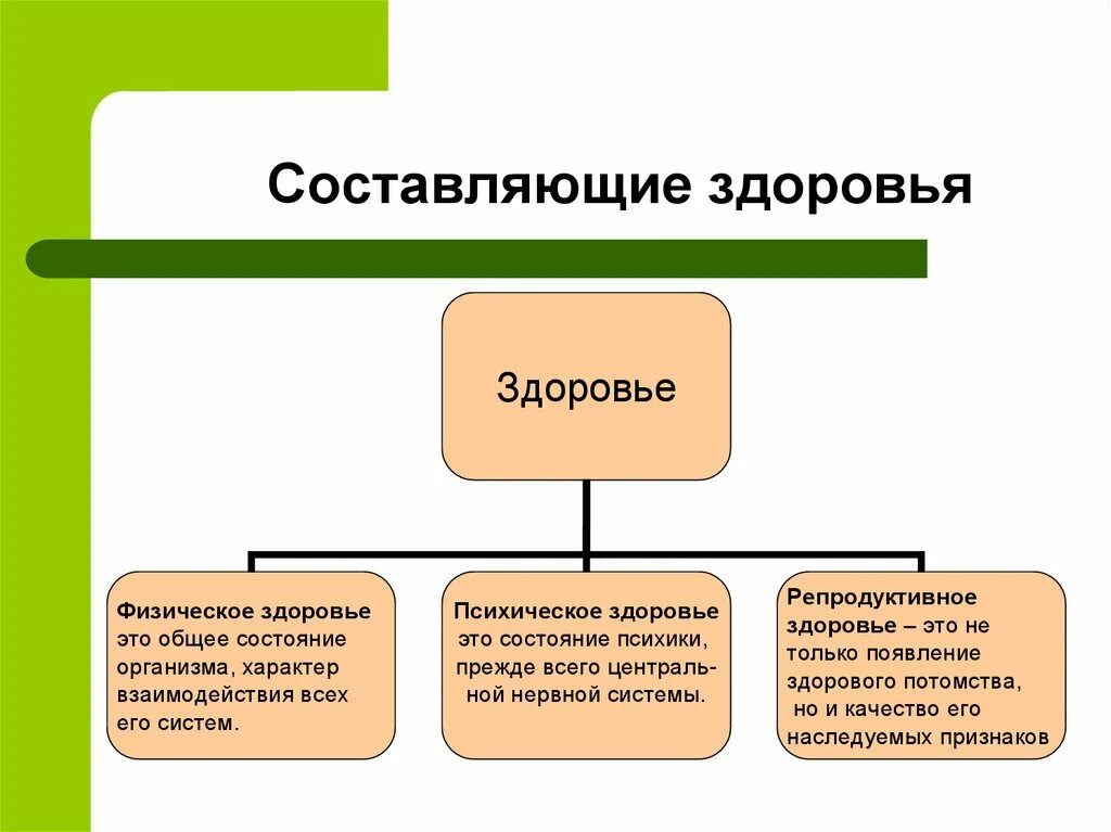 Составляющие определяют. Составляющие здоровья человека таблица по ОБЖ 9 класс физическая. Основные составляющие здоровья человека. Составляющие здоровья человека таблица. Перечислите составляющие здоровья.