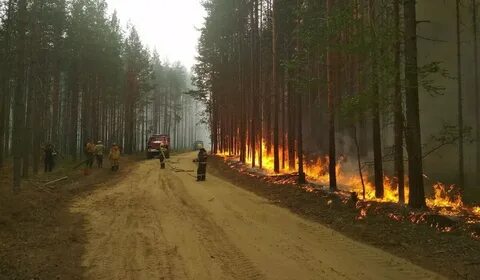 Пожары в карелии