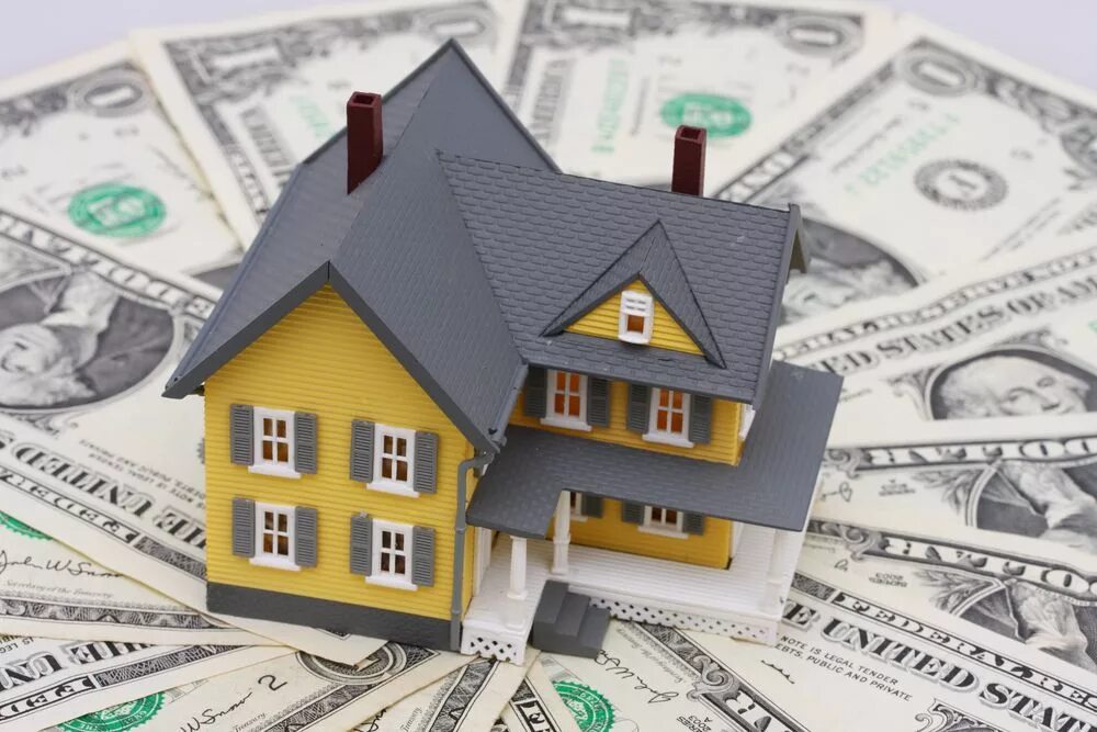 Article property