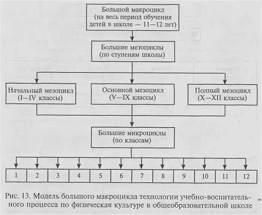 Макроцикл это. Микроцикл мезоцикл макроцикл. схема тренировочного процесса. структура мезоциклов. цикл в физической культуре это.