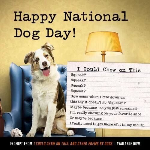 Переведи на русский dog day. Dogdei. Дог Day. Happy International Dog Day. Фото Dog Day.