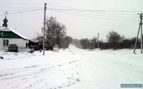 Погода в дмитровке