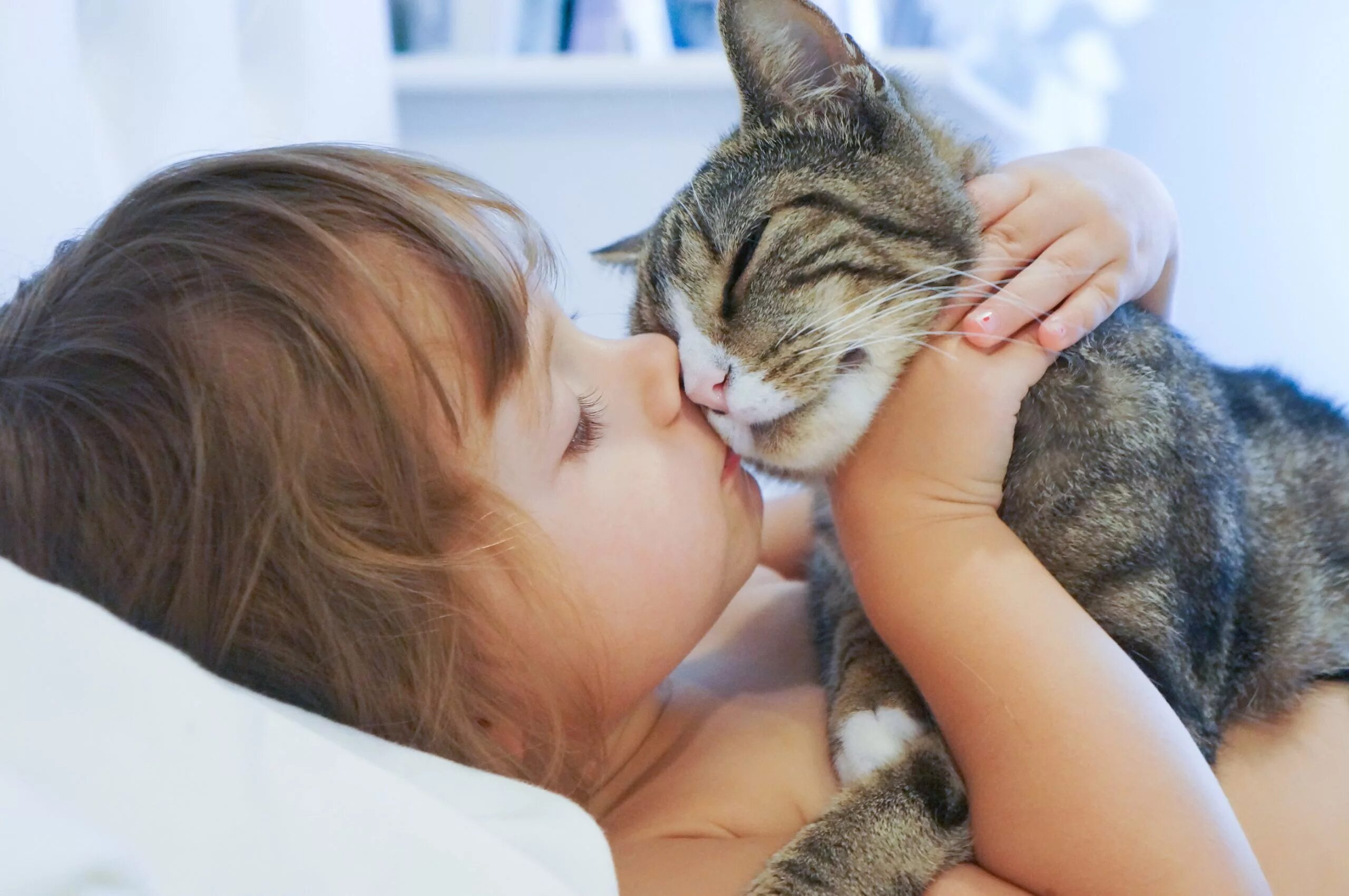 Породы кошек которые любят детей. Домашние животные для детей. кошка целует. девушка целует кота. домашние животные и человек.