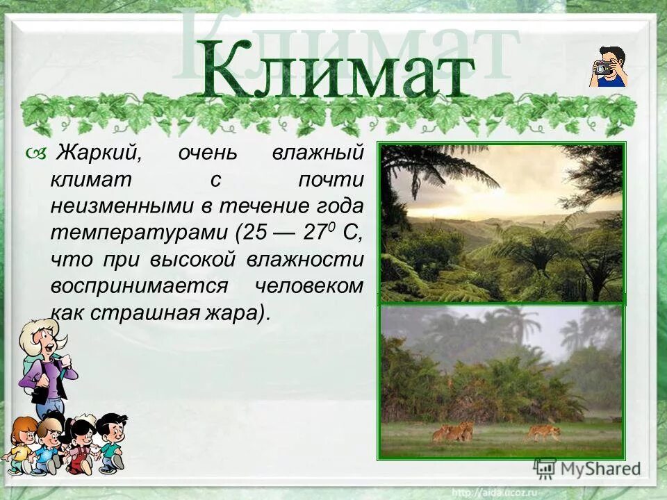 страна с жарким и влажным климатом