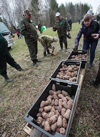 Погода кедровый томская область на 10 дней. Кедровый (Томская область). Кедровый (город). Аэропорт Кедровый Томская область. Кедровый Томская область фото.