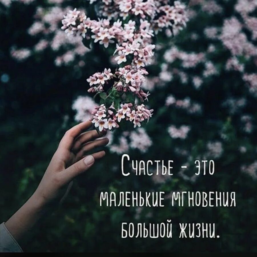 Смысл счастья цитаты. Цитаты про счастье. афоризмы про счастье. высказывания о счастье. красивые цитаты про счастье.