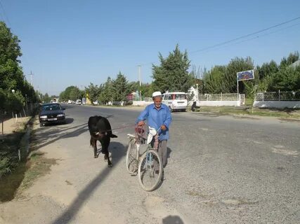 Пенджикент на сегодня по часам