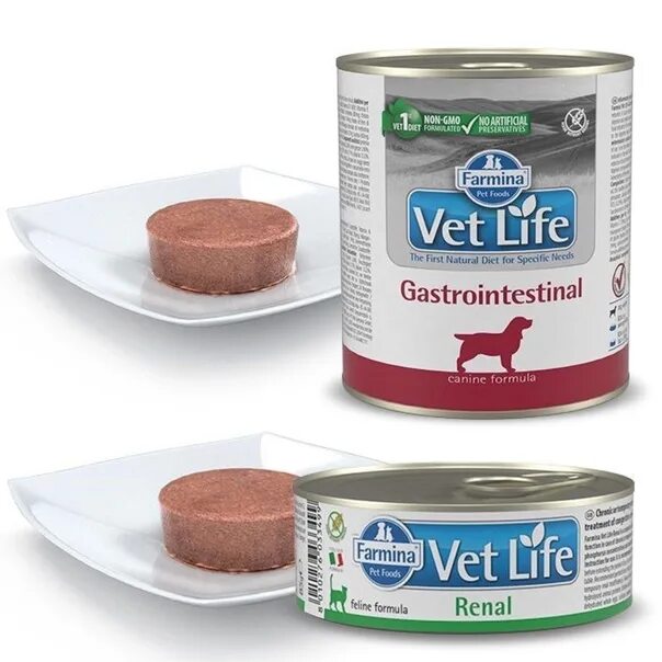 Farmina vet life gastrointestinal для собак. Farmina Gastrointestinal для собак. Фармина Ренал для собак консервы. Farmina vet Life Gastrointestinal. Farmina vet Life Gastrointestinal размер гранул.