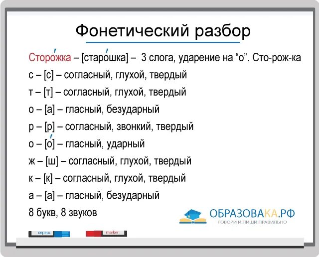 Сторож фонетический разбор