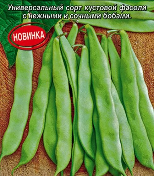 Фасоль кустовая сорта. Фасоль кустовая борлотто. фасоль кустовая биологические особенности.