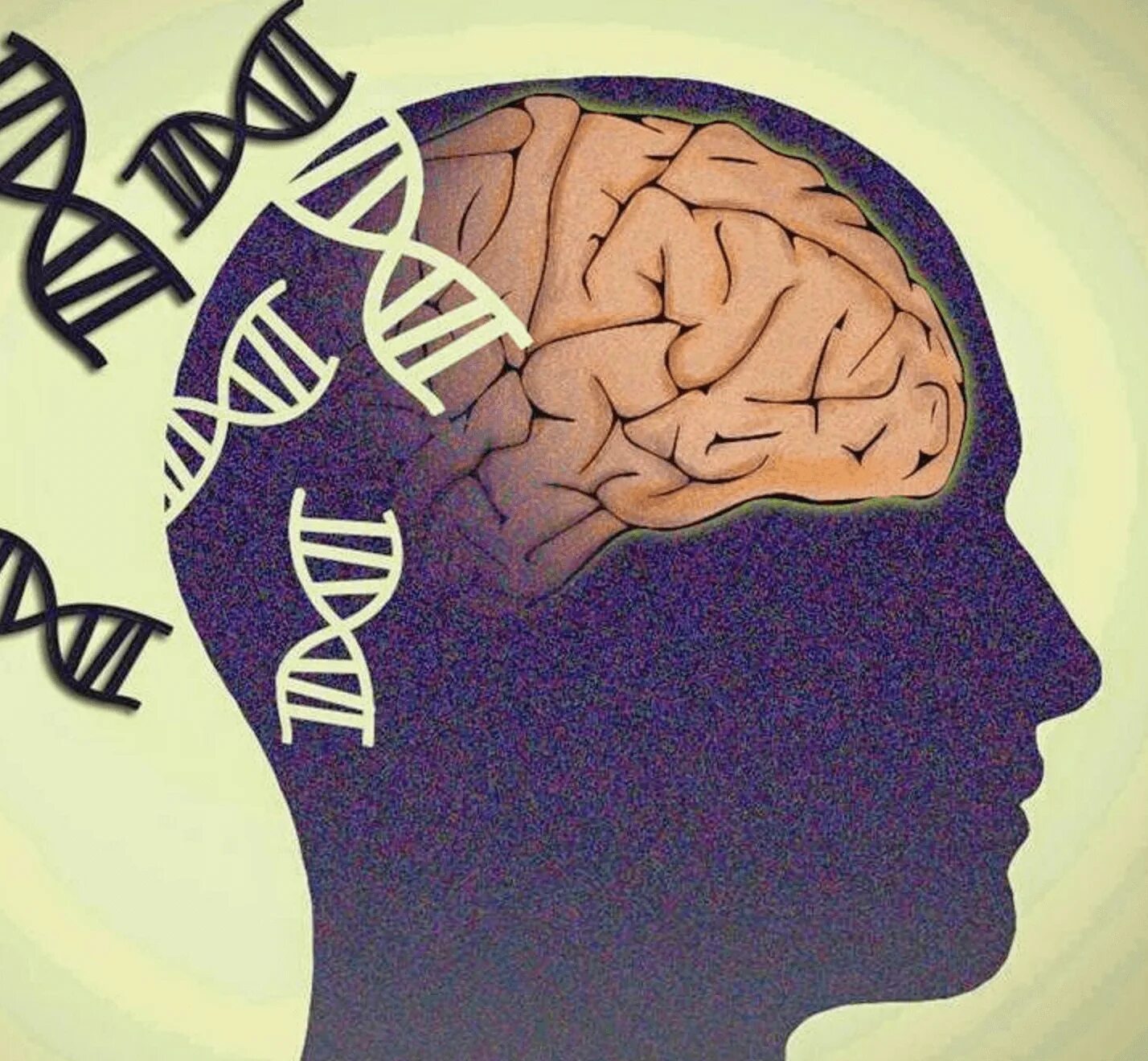 Память х. Память человека. Мозг ДНК. Психические заболевания мозг. Генетический мозг.