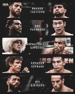 Ufc 15