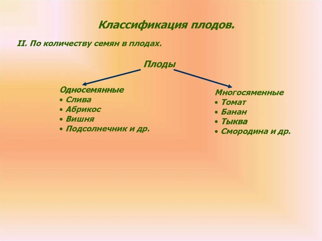 Значения плодов и семян в природе. Разнообразие плодов в природе. Разнообразие плодов и их роль в природе. Разнообразие плодов и их роль в природе и в жизни человека. Роль плодов и семян в жизни человека.