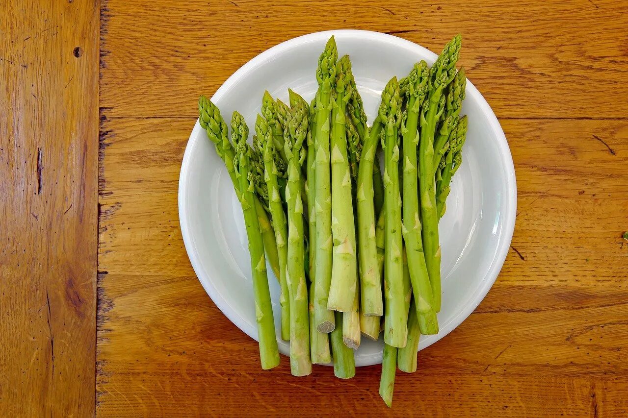 Спаржа (Asparagus officinalis).. Спаржа зеленая. Спаржа деликатесная. Спаржа зеленая куст.