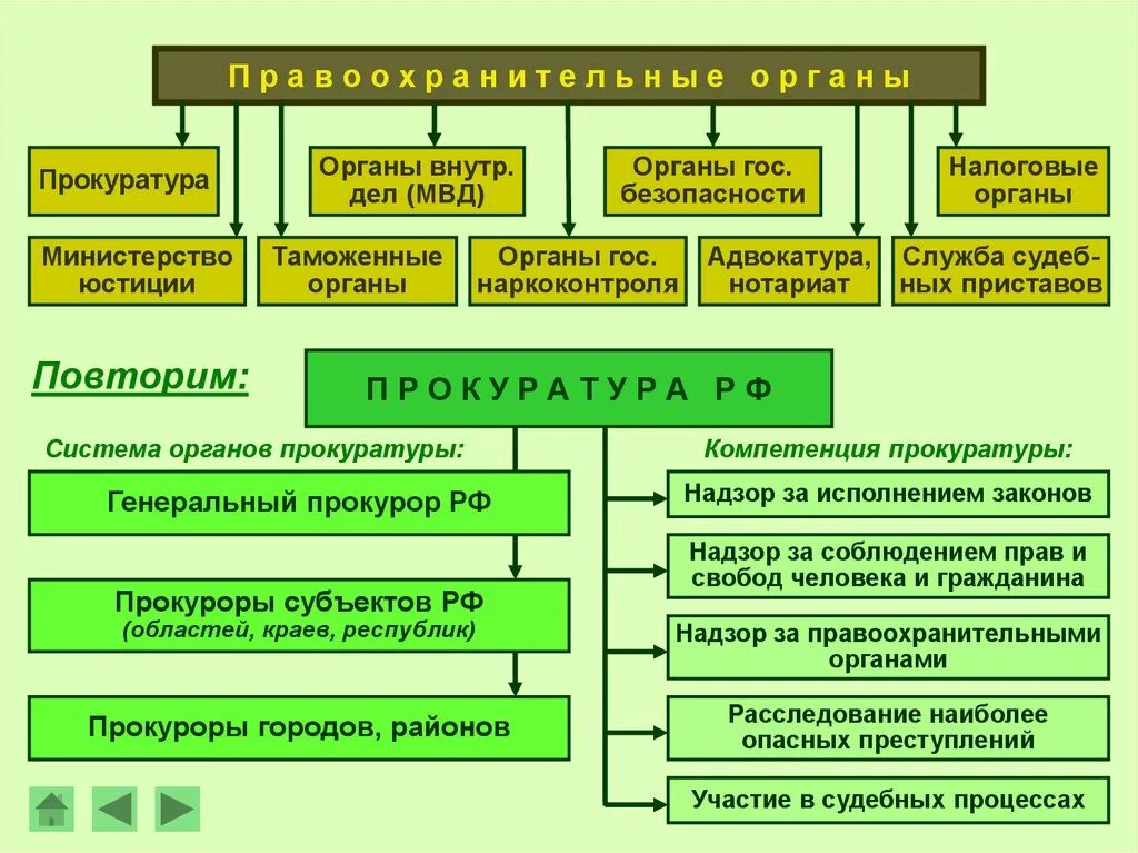 Налоговые органы правоохранительные органы