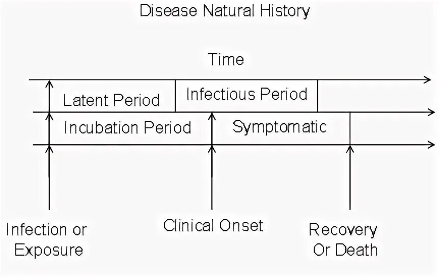 Incubation period. Latent period. Incubation period of and infection disease. Incubation period Eagle.