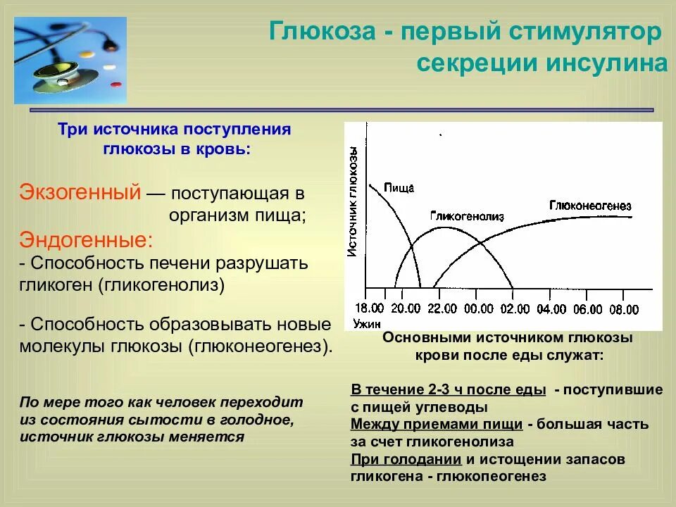 Почему пониженная глюкоза. Тип секреции инсулина. Суточная выработка инсулина. Фазы секреции инсулина. Секреция инсулина в норме.