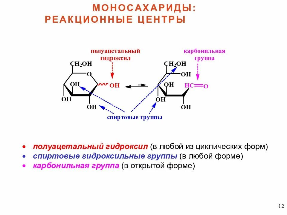 Фруктоза гидроксильная группа. Реакционные центры углеводов. Реакционные центры моносахаридов. Полуацетальный гидроксил. Реакции полуацетальной гидроксильной группы моносахаридов.